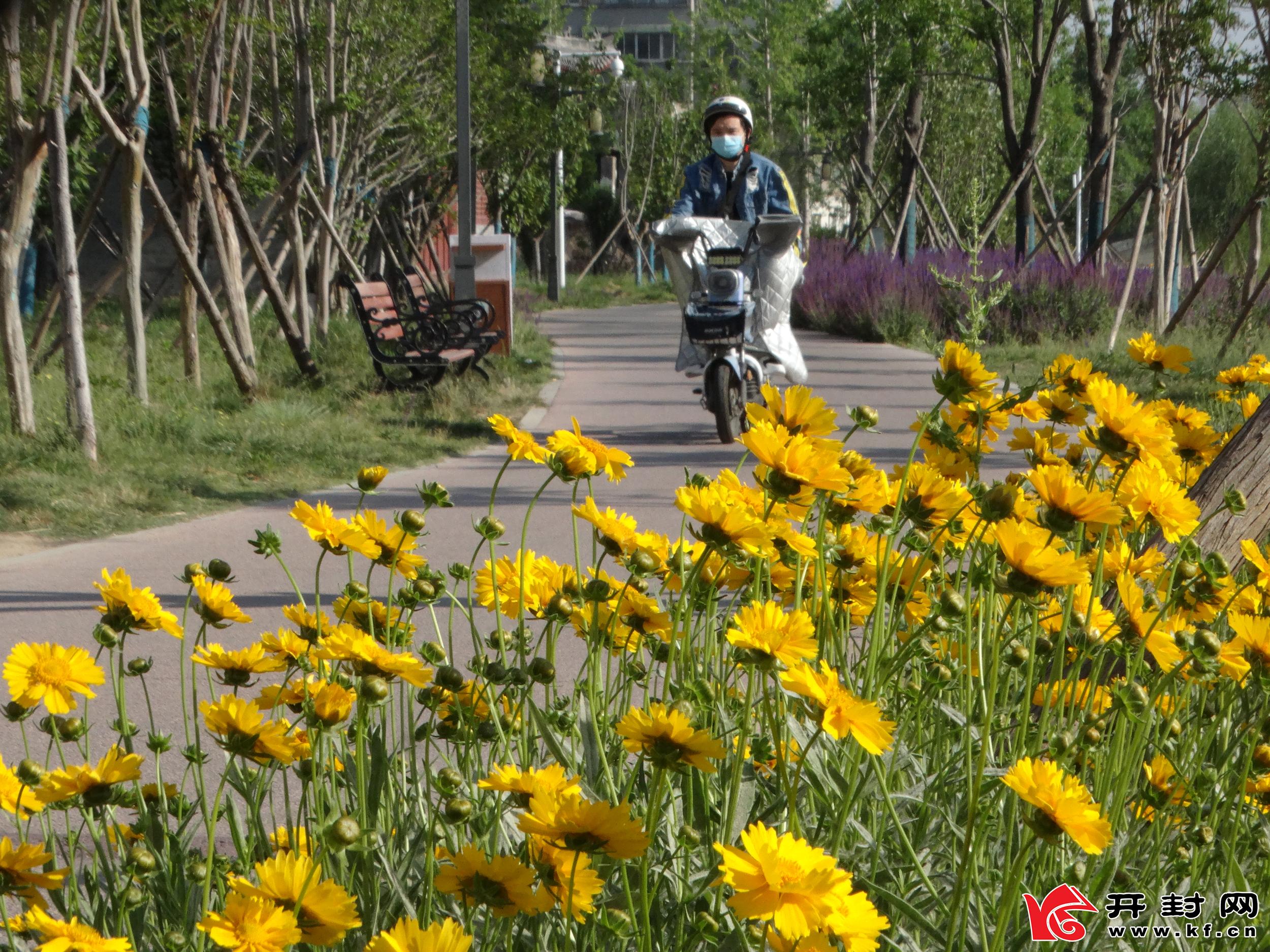 5月6日，市民在黄汴河畔花丛前走过。初夏时节，黄汴河畔鲜花盛开、花香扑鼻，格外秀丽迷人。全媒体记者 李俊生  摄
