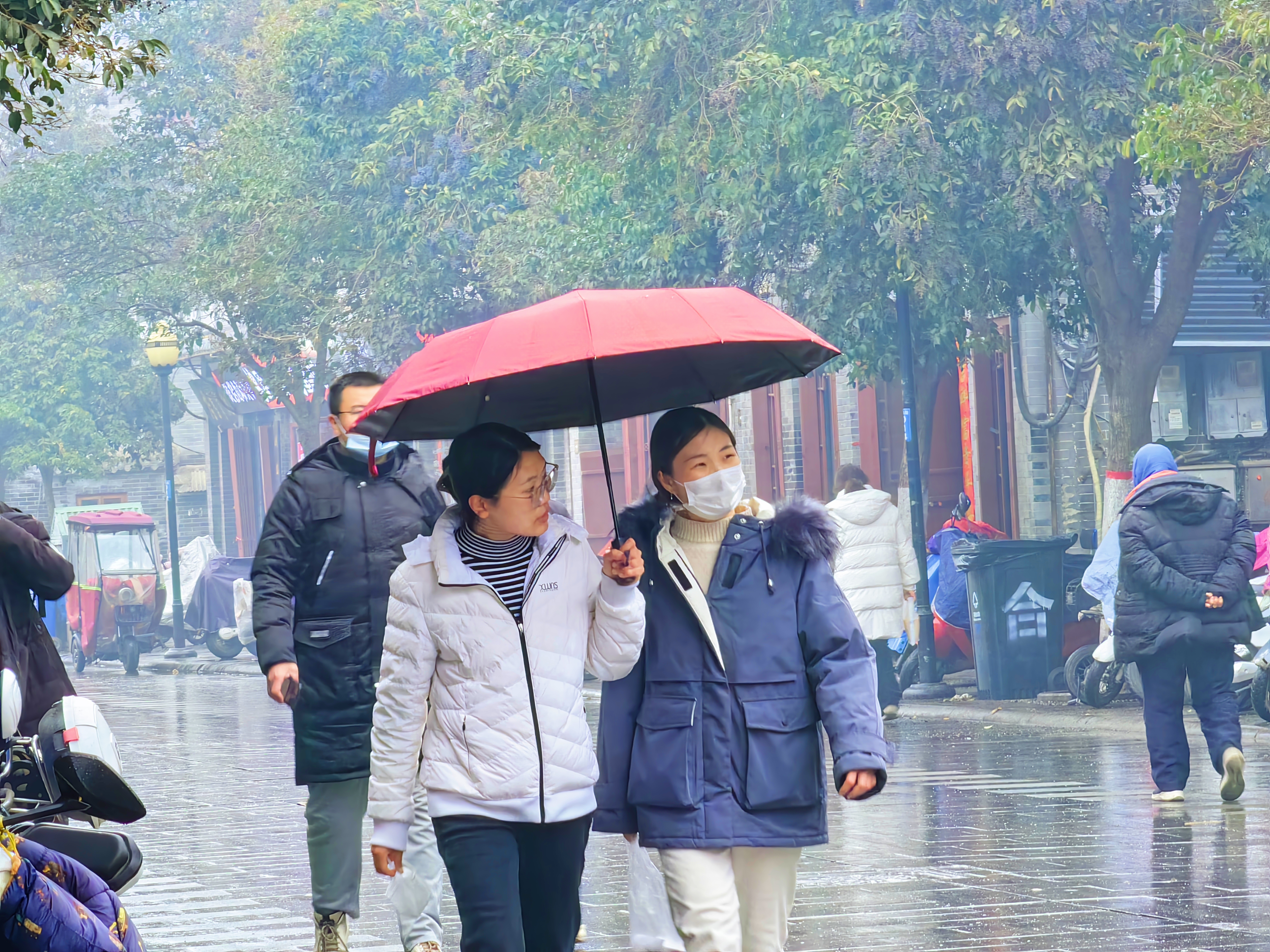 2月9日，一场春雨滋润古城，空气湿润。市民在细雨中欣赏古城朦胧美，绿化工人修剪、补栽花木，美化城市环境。全媒体记者 石斐 摄