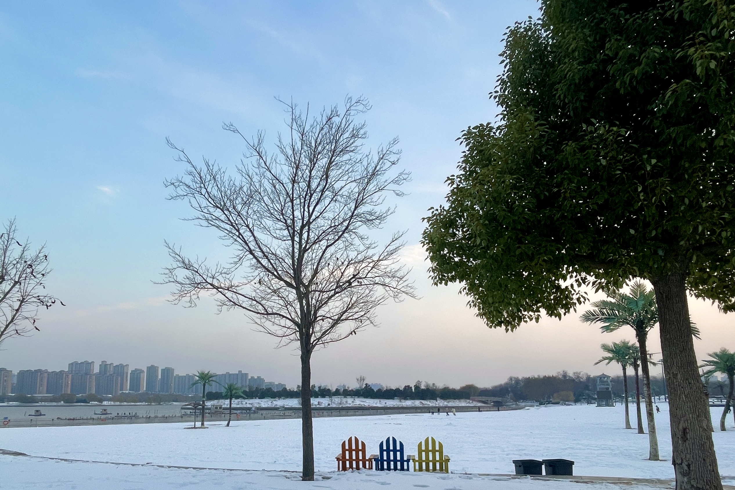 12月11日，一场大雪后，古城开封美如画卷。开封+记者 姜菡 摄