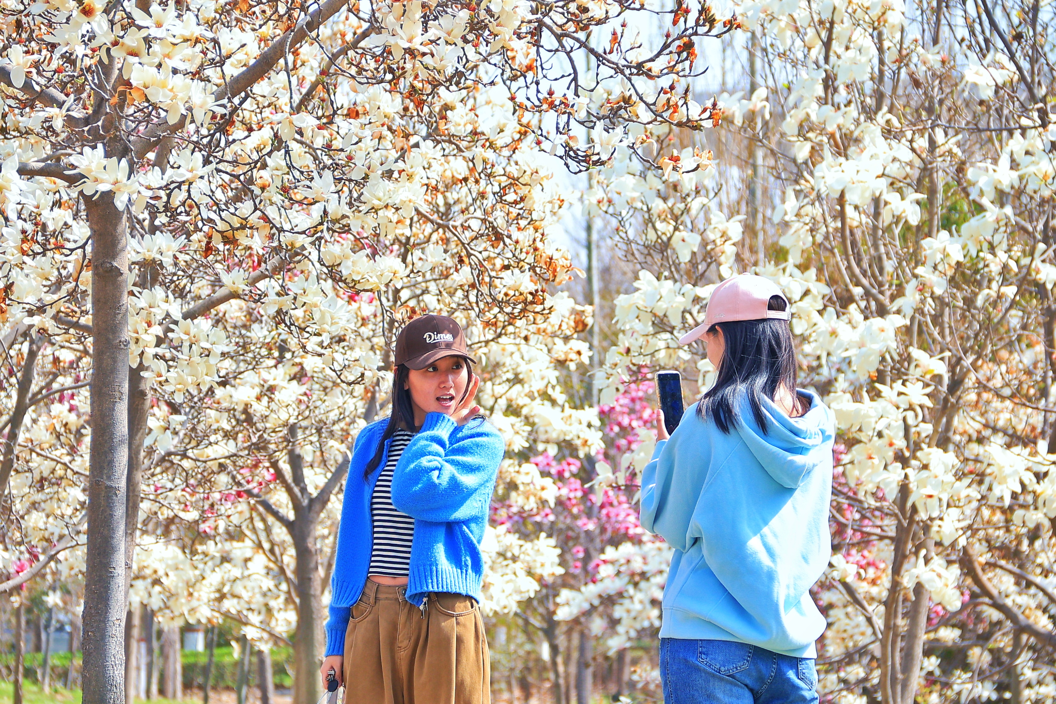 随着春季到来，河南大学金明校区“满园春色”，不同的花卉竞相绽放，让人目不暇接。全媒体记者李浩3月22日摄