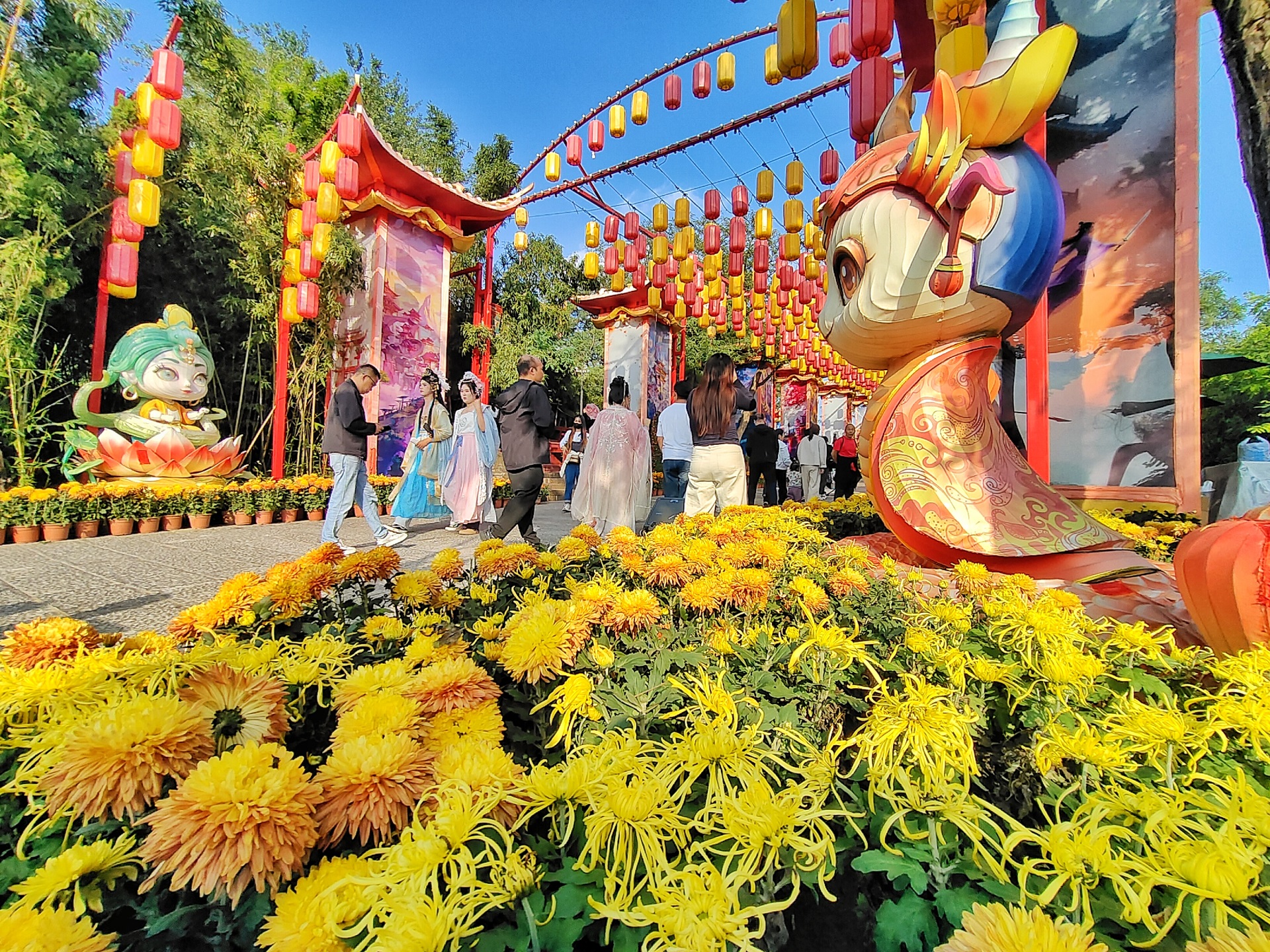 10月14日，天气晴朗，气温回升，菊花竞相开放，景区里各种品类的菊花吸引了众多游客游玩赏菊。全媒体记者 李浩 摄