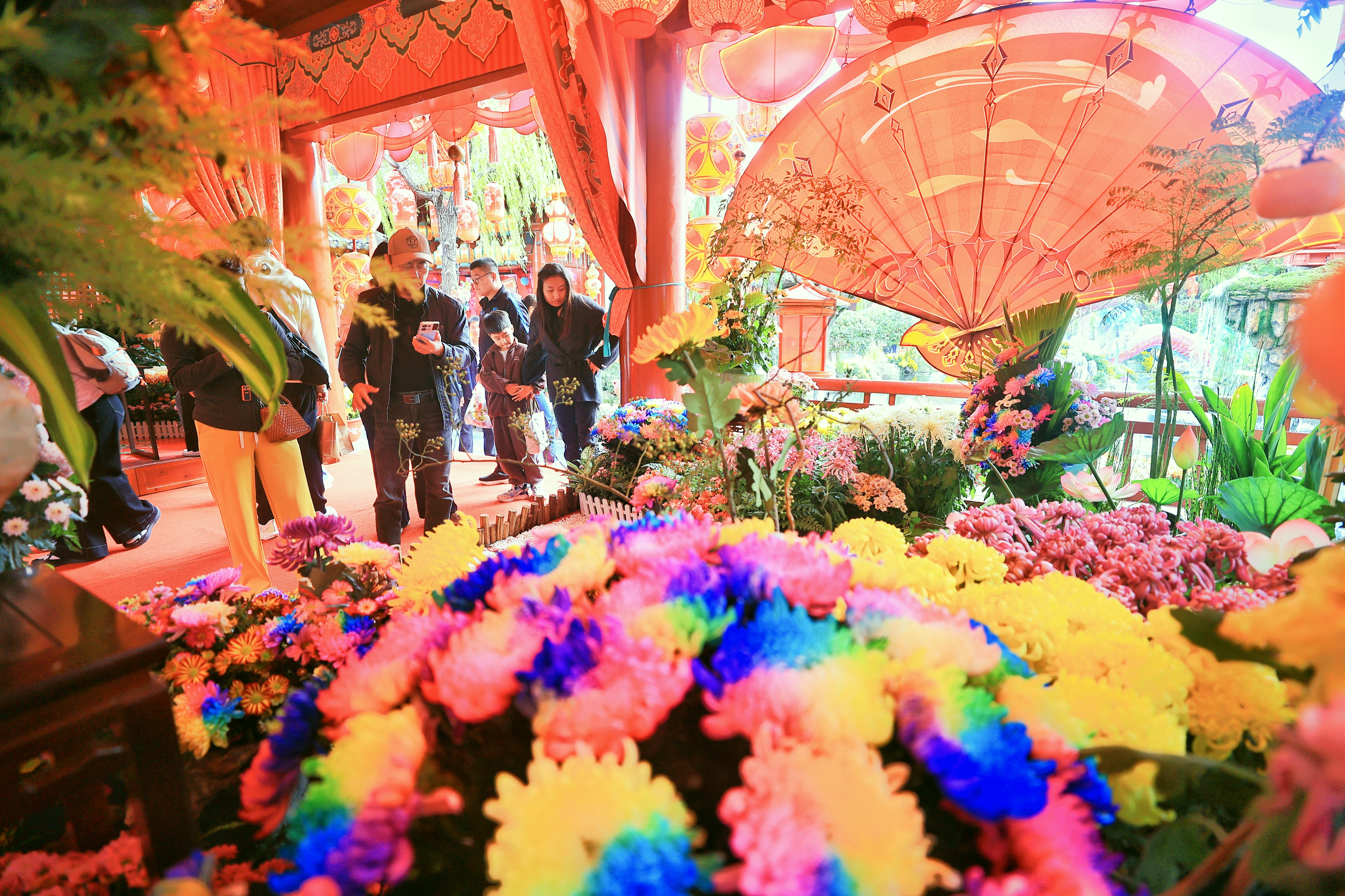 近日，开封各大景区菊花飘香，菊花景观令人惊艳，吸引众多游客前来游玩。全媒体记者李浩10月18日摄