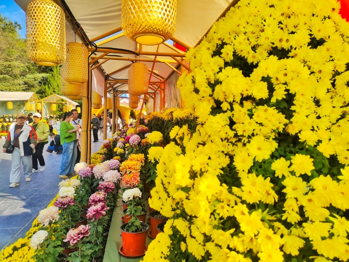 10月14日,天气晴朗,气温回升,菊花竞相开放,景区里各种品类的菊花吸引了众多游客游玩赏菊。全媒体记者 李浩 摄