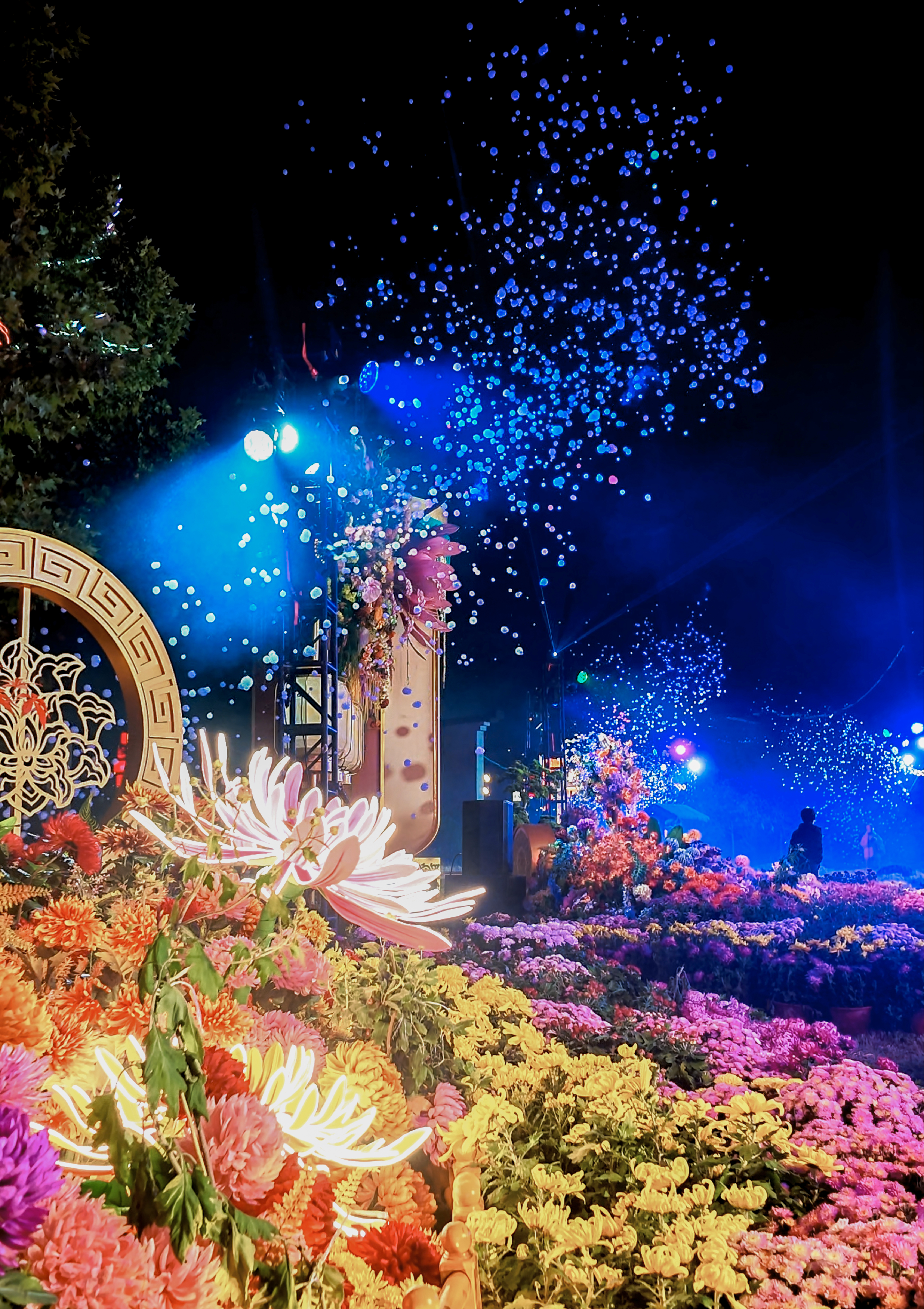 10月27日，游客在龙亭景区游玩，邂逅独属于夜晚的赏菊浪漫。全媒体记者 袁洋 摄 