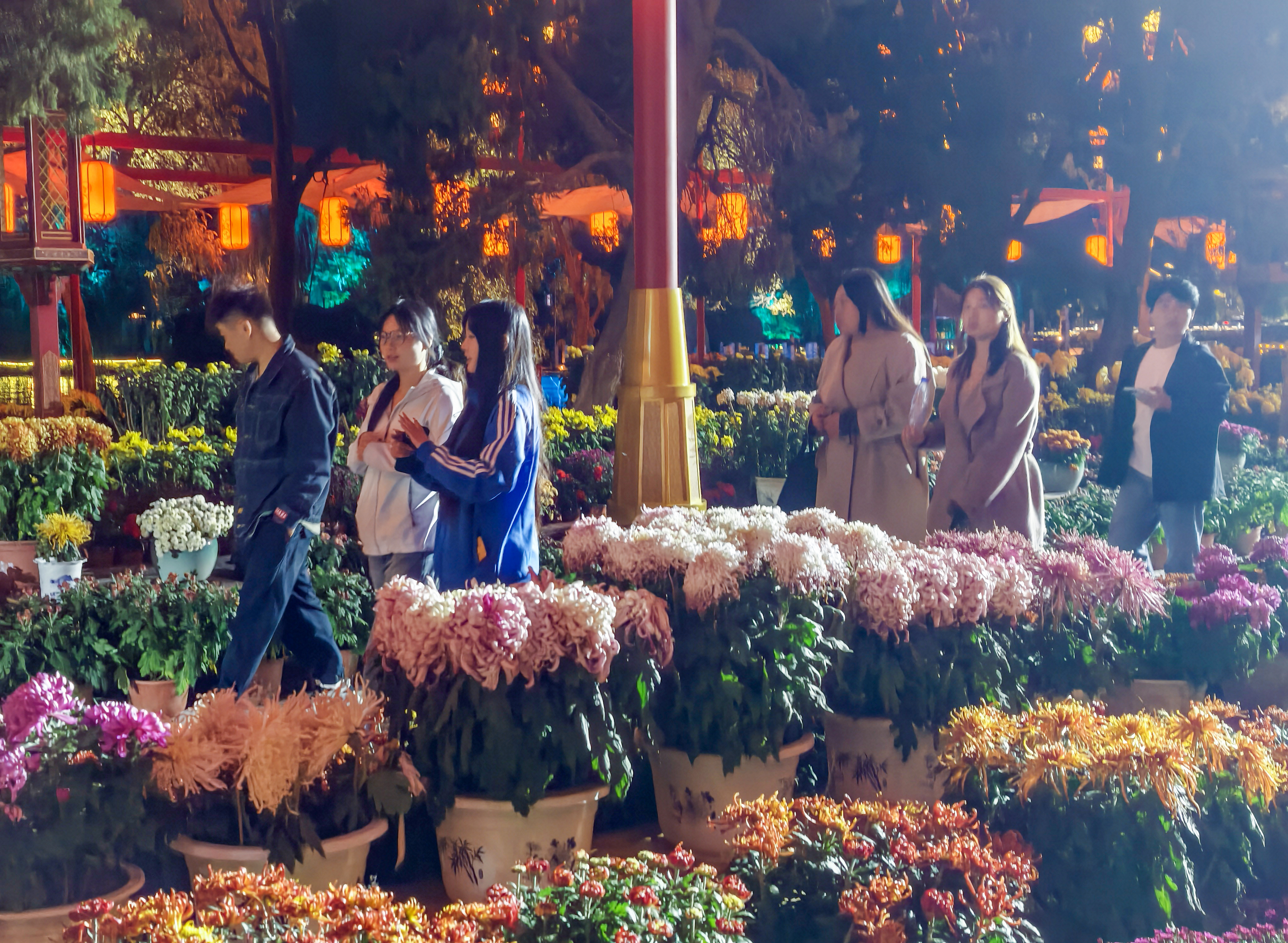 10月27日，游客在龙亭景区游玩，邂逅独属于夜晚的赏菊浪漫。全媒体记者 袁洋 摄 