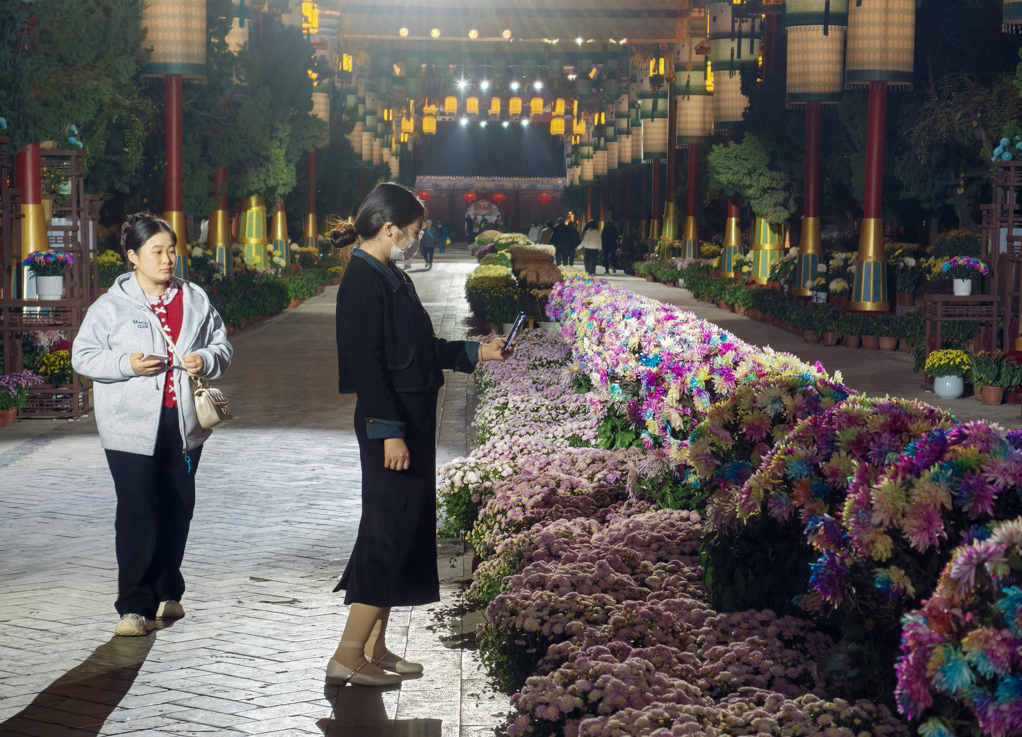 10月27日，游客在龙亭景区游玩，邂逅独属于夜晚的赏菊浪漫。全媒体记者 袁洋 摄 